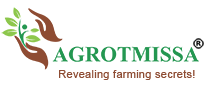 Agrotmissa