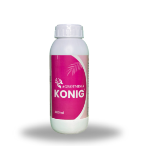KONIG